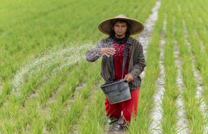 Britis International Investment Siapkan £1,1 Miliar untuk Percepat Transisi Energi di Asia