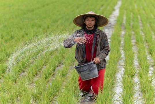 Britis International Investment Siapkan £1,1 Miliar untuk Percepat Transisi Energi di Asia