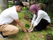 “One Man, One Tree”, Inisiatif Berkelanjutan PTPN Group