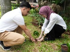 “One Man, One Tree”, Inisiatif Berkelanjutan PTPN Group