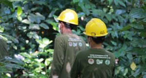 Palma Serasih Perkuat Kemitraan Petani Plasma dan Program Sosial Berkelanjutan di Kalimantan Timur