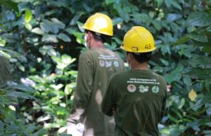 Palma Serasih Perkuat Kemitraan Petani Plasma dan Program Sosial Berkelanjutan di Kalimantan Timur