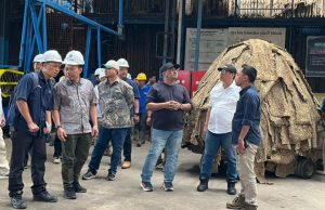 PTPN I Genjot Produksi Karet di Bengkulu