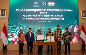 Menteri PPN/Bappenas : PTPN I (Persero) Domain Ketahanan Pangan dan Energi