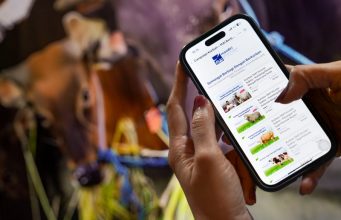 Dari Pilih Hewan hingga Distribusi, Kurban Kini Bisa Dipantau Lewat Fitur Sukha di Livin’ by Mandiri