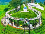 Wajah Baru Malabar, Kemitraan Strategis Nimo Highland Hidupkan Wisata Pangalengan