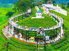 Wajah Baru Malabar, Kemitraan Strategis Nimo Highland Hidupkan Wisata Pangalengan