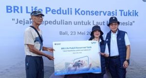 BRI Life Gelar Pelepasan Tukik, Dukung Konservasi Penyu di Pantai Kuta Bali