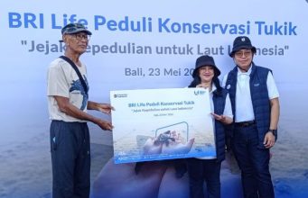 BRI Life Gelar Pelepasan Tukik, Dukung Konservasi Penyu di Pantai Kuta Bali