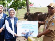 PT Pelindo Sinergi Lokaseva Berbagi Hewan Kurban, Perkuat Kepedulian Sosial dan Dukung Peternak Lokal