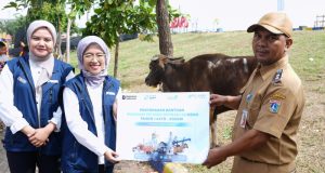 PT Pelindo Sinergi Lokaseva Berbagi Hewan Kurban, Perkuat Kepedulian Sosial dan Dukung Peternak Lokal