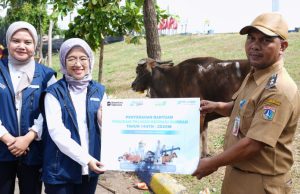 PT Pelindo Sinergi Lokaseva Berbagi Hewan Kurban, Perkuat Kepedulian Sosial dan Dukung Peternak Lokal