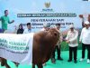Wapres Gibran Percayakan Penyaluran Hewan Kurban kepada BAZNAS RI