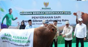 Wapres Gibran Percayakan Penyaluran Hewan Kurban kepada BAZNAS RI