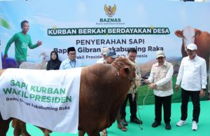Wapres Gibran Percayakan Penyaluran Hewan Kurban kepada BAZNAS RI