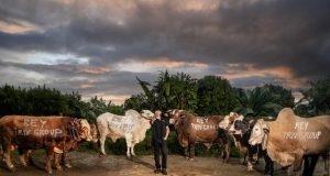 CEO TRIV Group Salurkan 7+ Ton Sapi Kurban pada Hari Raya Idul Adha 1447 H
