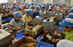 Larangan Bahan Tambahan Digodok, Industri Rokok Hadapi Ancaman PHK