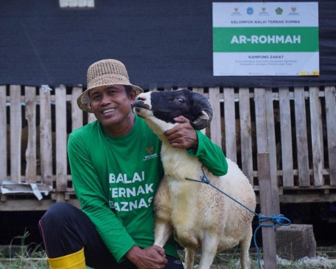Kurban Berkah Berdayakan Desa, Balai Ternak BAZNAS Lamongan Siap Pasok Hewan Kurban Berkualitas