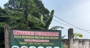 Dukungan KUR BRI, Juragan Ikan Brothers Sukses Bawa Ekspor Hingga Pasok MBG