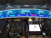 Saham NPGF Melonjak 137%, Pasar Soroti Rumor Akuisisi