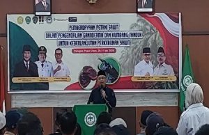 APKASINDO Soroti Ancaman Ganoderma dan Krisis Harga TBS
