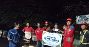 Membangun Lebih dari Infrastruktur, Brantas Abipraya Tebar Keceriaan Iduladha Melalui 210 Hewan Kurban