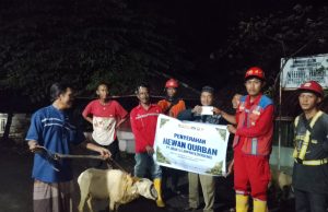 Membangun Lebih dari Infrastruktur, Brantas Abipraya Tebar Keceriaan Iduladha Melalui 210 Hewan Kurban