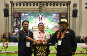Kontes Ternak Domba Garut Meriahkan Hari Pertama Indo Livestock Grand Championship