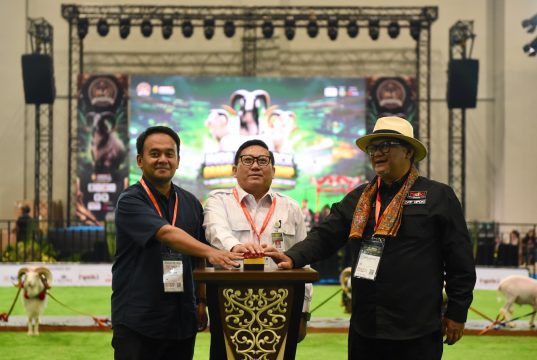 Kontes Ternak Domba Garut Meriahkan Hari Pertama Indo Livestock Grand Championship