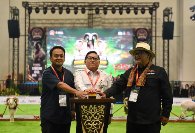 Kontes Ternak Domba Garut Meriahkan Hari Pertama Indo Livestock Grand Championship