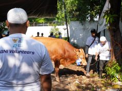 BNI Distribusikan 1.200 Hewan Kurban ke Berbagai Daerah Indonesia