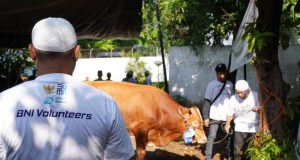 BNI Distribusikan 1.200 Hewan Kurban ke Berbagai Daerah Indonesia