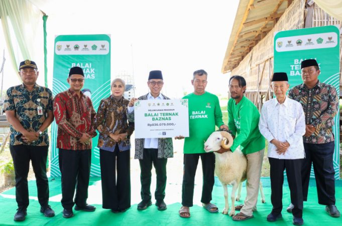 Berdayakan Mustahik, BAZNAS Hadirkan Program Balai Ternak di Kendal