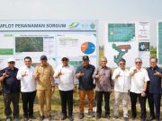 PTPN I (Persero): Dukung Penuh Percepatan Ketahanan Energi Nasional