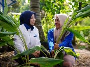 PNM Telah Layani 23 Juta Nasabah Keluarga Prasejahtera