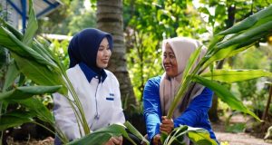 PNM Telah Layani 23 Juta Nasabah Keluarga Prasejahtera