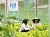 Indonesia Sustainability Award Apresiasi Komitmen ESG dan Pemberdayaan Berkelanjutan PNM