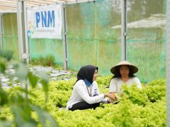 Indonesia Sustainability Award Apresiasi Komitmen ESG dan Pemberdayaan Berkelanjutan PNM