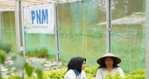 Indonesia Sustainability Award Apresiasi Komitmen ESG dan Pemberdayaan Berkelanjutan PNM