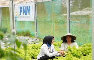 Indonesia Sustainability Award Apresiasi Komitmen ESG dan Pemberdayaan Berkelanjutan PNM