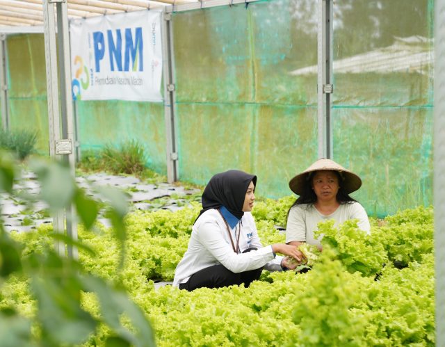 Indonesia Sustainability Award Apresiasi Komitmen ESG dan Pemberdayaan Berkelanjutan PNM 1