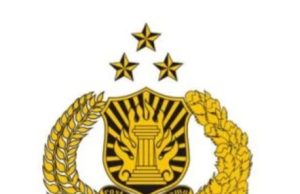 Polri: Likuidasi Sepihak Aset Digital Nasabah Bisa Dipidana, Termasuk Kripto