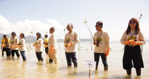 Upaya PNM Hadirkan Masa Depan Anak-Anak Lewat Pelestarian Laut