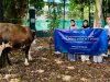 Kepedulian Yang Nyata, Valbury Berbagi Hewan Kurban Hadir di 4 Kota