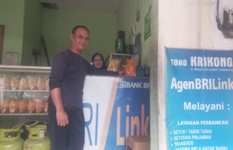 Renyahnya Cuan dari Krikong Hingga Nyampe Ke Istana