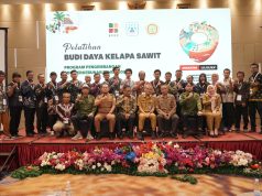 BPDP Bersama PT SIB dan Ditjenbun Gelar Pelatihan Budidaya Pekebun Sawit untuk Tingkatkan Produktivias dan Percepat ISPO