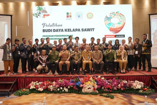 BPDP Bersama PT SIB dan Ditjenbun Gelar Pelatihan Budidaya Pekebun Sawit untuk Tingkatkan Produktivias dan Percepat ISPO