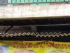 Ada Mimpi dan Asa Dibalik Kepulan Asap Sate Padang Uni Efnida
