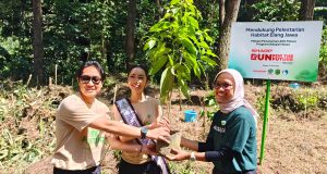 Selamatkan Habitat Elang Jawa, Sharp Mengubah Langkah Pelari Menjadi 600 Pohon