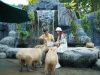 Marine Safari Bali, Tempat Yang Cocok Untuk Liburan Sekolah